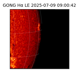 gong - 2025-07-09T09:00:42