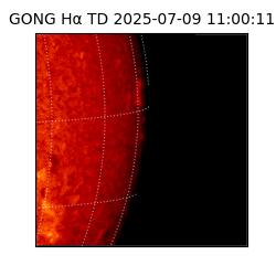 gong - 2025-07-09T11:00:11