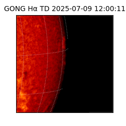 gong - 2025-07-09T12:00:11