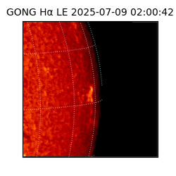 gong - 2025-07-09T02:00:42