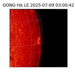 gong - 2025-07-09T03:00:42