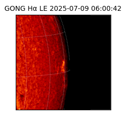 gong - 2025-07-09T06:00:42
