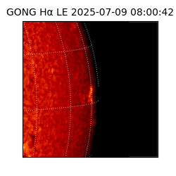 gong - 2025-07-09T08:00:42