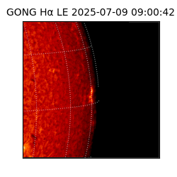 gong - 2025-07-09T09:00:42