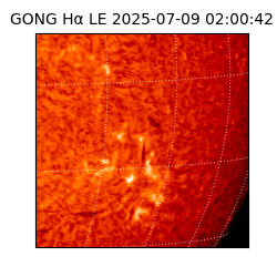 gong - 2025-07-09T02:00:42