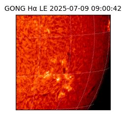 gong - 2025-07-09T09:00:42