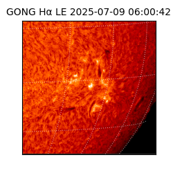 gong - 2025-07-09T06:00:42