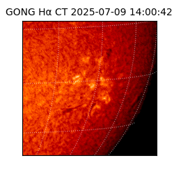 gong - 2025-07-09T14:00:42