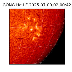 gong - 2025-07-09T02:00:42