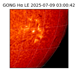 gong - 2025-07-09T03:00:42