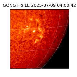gong - 2025-07-09T04:00:42