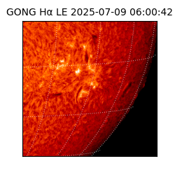 gong - 2025-07-09T06:00:42