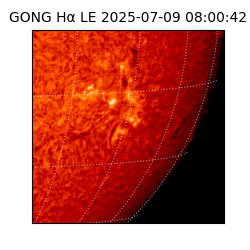 gong - 2025-07-09T08:00:42