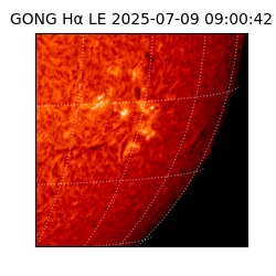 gong - 2025-07-09T09:00:42