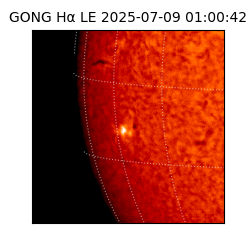 gong - 2025-07-09T01:00:42