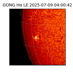 gong - 2025-07-09T04:00:42