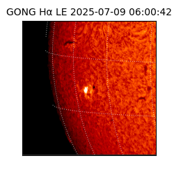 gong - 2025-07-09T06:00:42