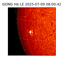 gong - 2025-07-09T08:00:42