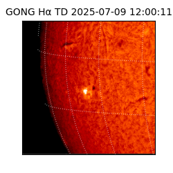 gong - 2025-07-09T12:00:11
