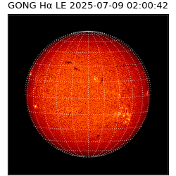 gong - 2025-07-09T02:00:42