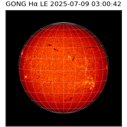 gong - 2025-07-09T03:00:42
