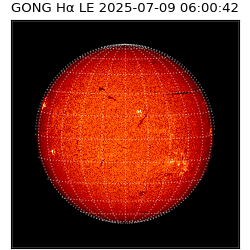 gong - 2025-07-09T06:00:42
