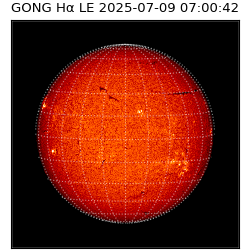 gong - 2025-07-09T07:00:42