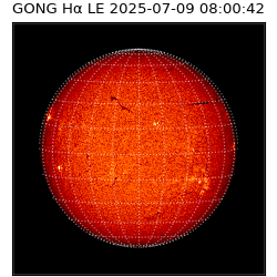 gong - 2025-07-09T08:00:42