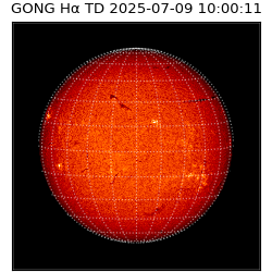 gong - 2025-07-09T10:00:11