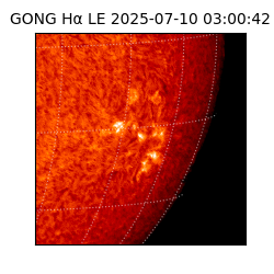 gong - 2025-07-10T03:00:42