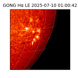 gong - 2025-07-10T01:00:42