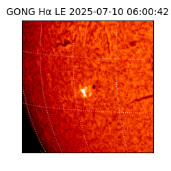 gong - 2025-07-10T06:00:42