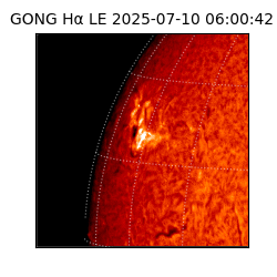 gong - 2025-07-10T06:00:42