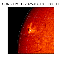 gong - 2025-07-10T11:00:11
