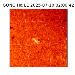 gong - 2025-07-10T02:00:42