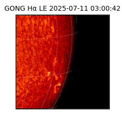 gong - 2025-07-11T03:00:42