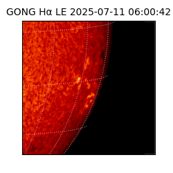 gong - 2025-07-11T06:00:42