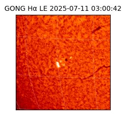 gong - 2025-07-11T03:00:42