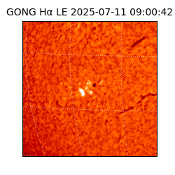 gong - 2025-07-11T09:00:42