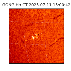 gong - 2025-07-11T15:00:42