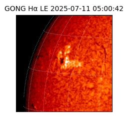 gong - 2025-07-11T05:00:42