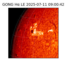 gong - 2025-07-11T09:00:42