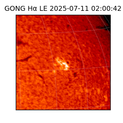 gong - 2025-07-11T02:00:42