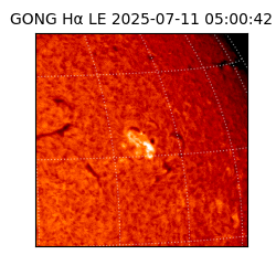 gong - 2025-07-11T05:00:42