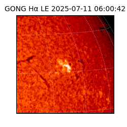 gong - 2025-07-11T06:00:42