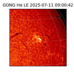 gong - 2025-07-11T09:00:42