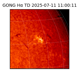 gong - 2025-07-11T11:00:11