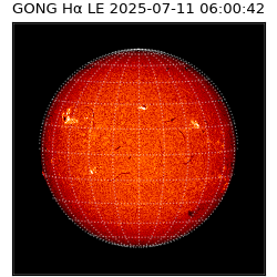 gong - 2025-07-11T06:00:42