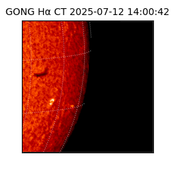 gong - 2025-07-12T14:00:42