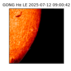 gong - 2025-07-12T09:00:42